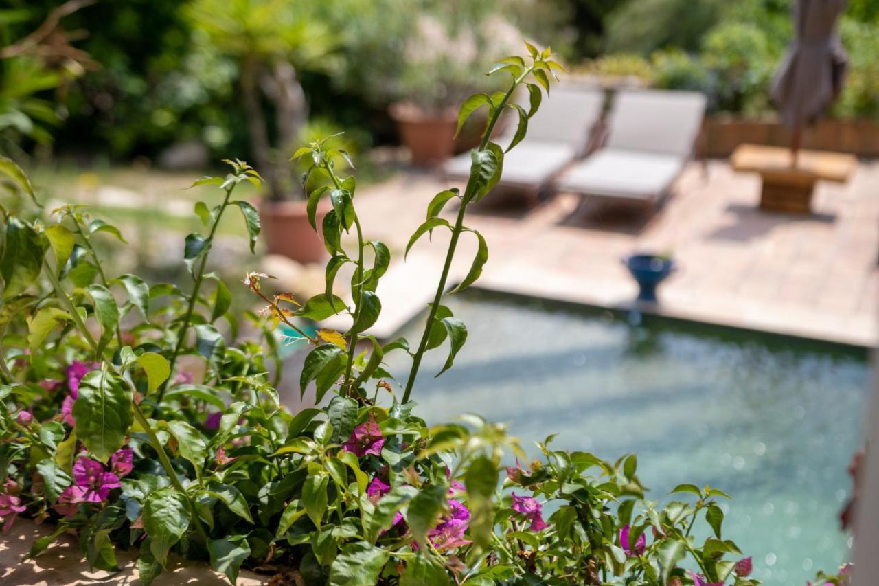 Bed and Breakfast Le Mazet De Tourrettes Exterior foto